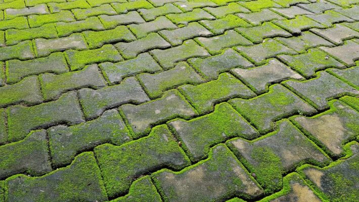 Xịt rửa bằng máy áp lực là giải pháp tối ưu nhất xử lý rêu mốc