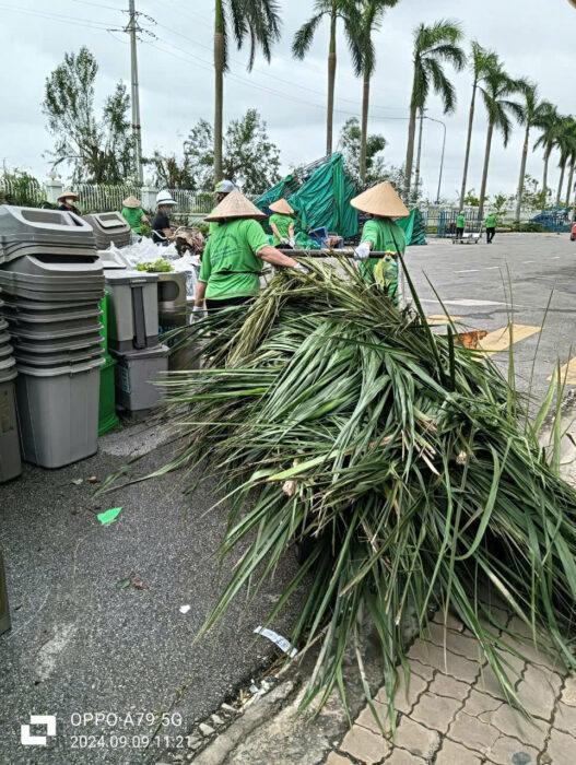 Cắt tỉa cây xanh tránh rơi rụng lá vào hệ thống thoát nước