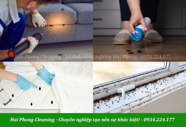 Nỗi lo côn trùng gây hại luôn thường trực