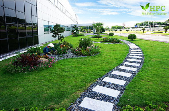 dịch vụ chăm sóc cây xanh dịch vụ chăm sóc cây xanh