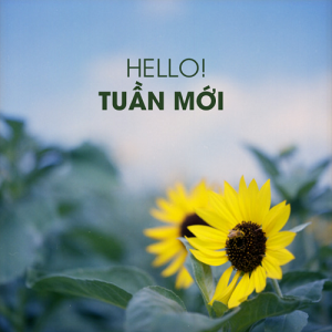 Vệ sinh công nghiệp HPC