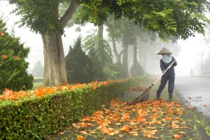 Hai Phong Cleaning- chuyên cung cấp nhân viên vệ sinh