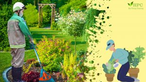 Chăm sóc cây xanh Hải Phòng