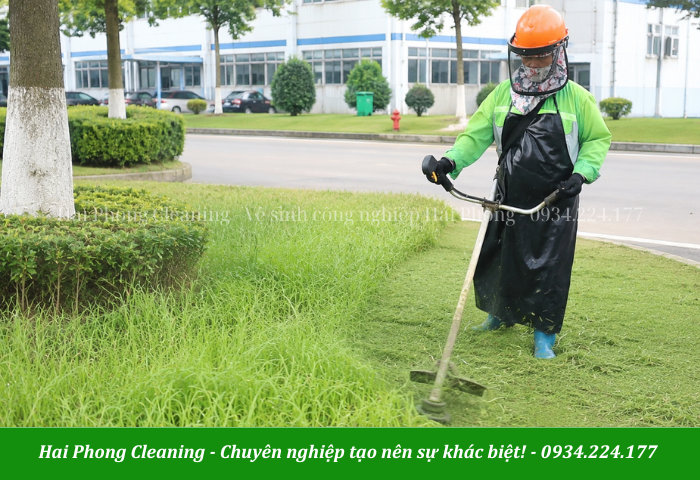 Dịch vụ cắt cỏ uy tín HPC