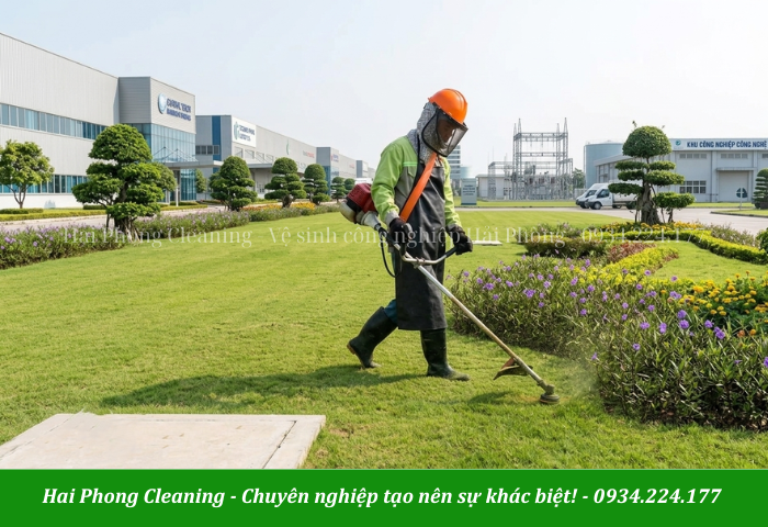 Dịch vụ cắt cỏ HPC chuyên nghiệp