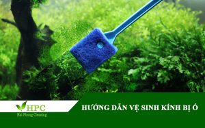 HƯỚNG DẪN VỆ SINH KÍNH BỊ Ố