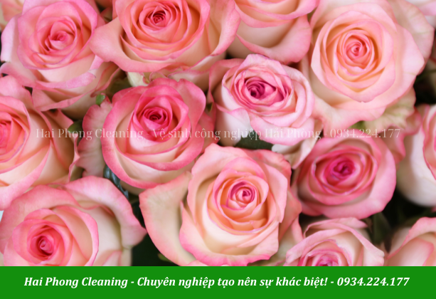 Hoa là món quà 20-10 đơn giản và dễ chọn